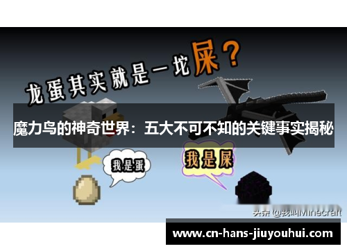魔力鸟的神奇世界：五大不可不知的关键事实揭秘
