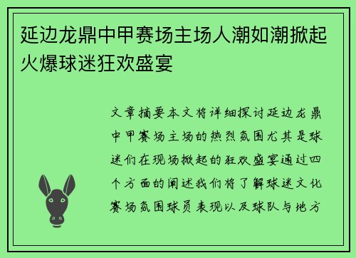 延边龙鼎中甲赛场主场人潮如潮掀起火爆球迷狂欢盛宴