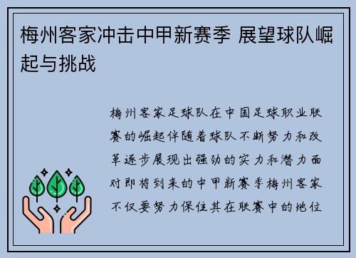 梅州客家冲击中甲新赛季 展望球队崛起与挑战