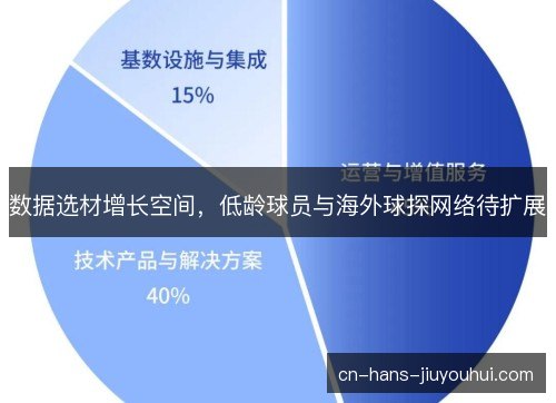 数据选材增长空间，低龄球员与海外球探网络待扩展